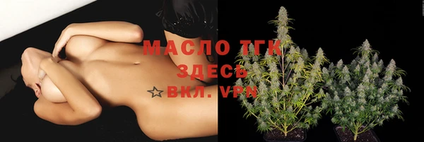 СК Горняк