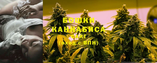 СК Горняк