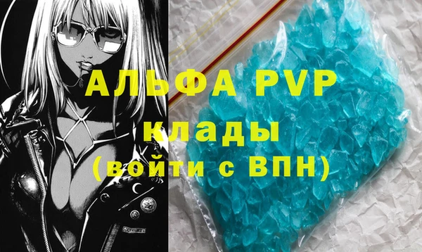 индика Медвежьегорск